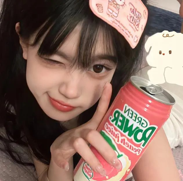 狼与狮子